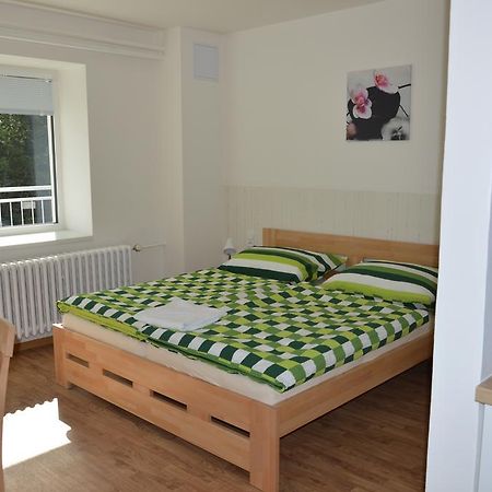 Železná Ruda Penzion Havelka Apartmany מראה חיצוני תמונה