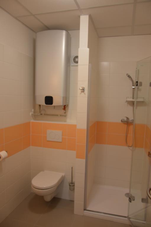 Železná Ruda Penzion Havelka Apartmany מראה חיצוני תמונה