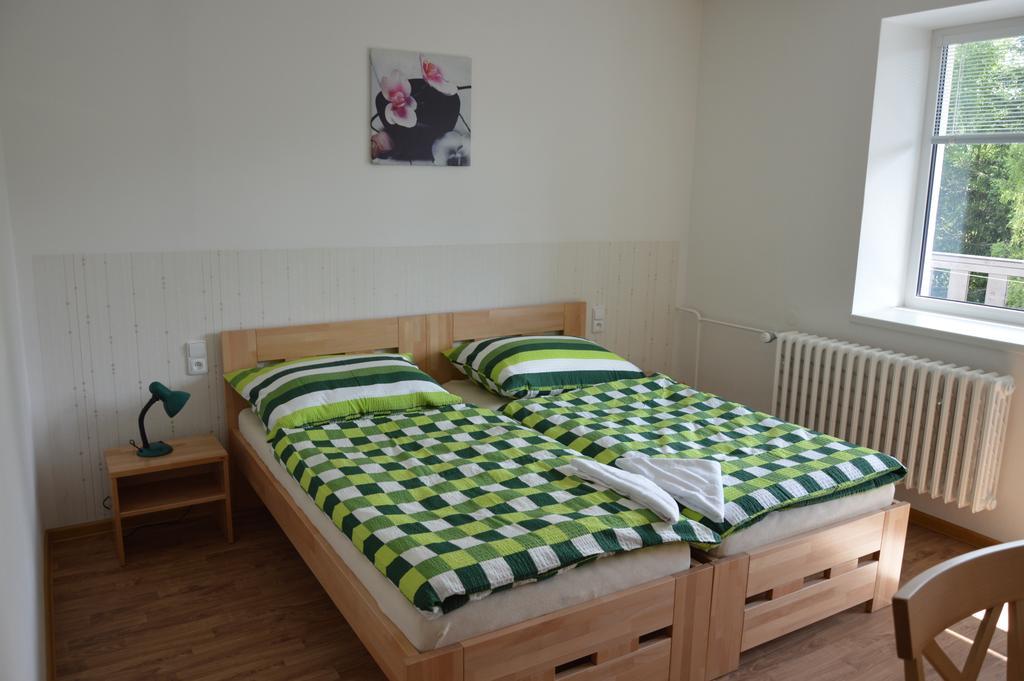 Železná Ruda Penzion Havelka Apartmany מראה חיצוני תמונה