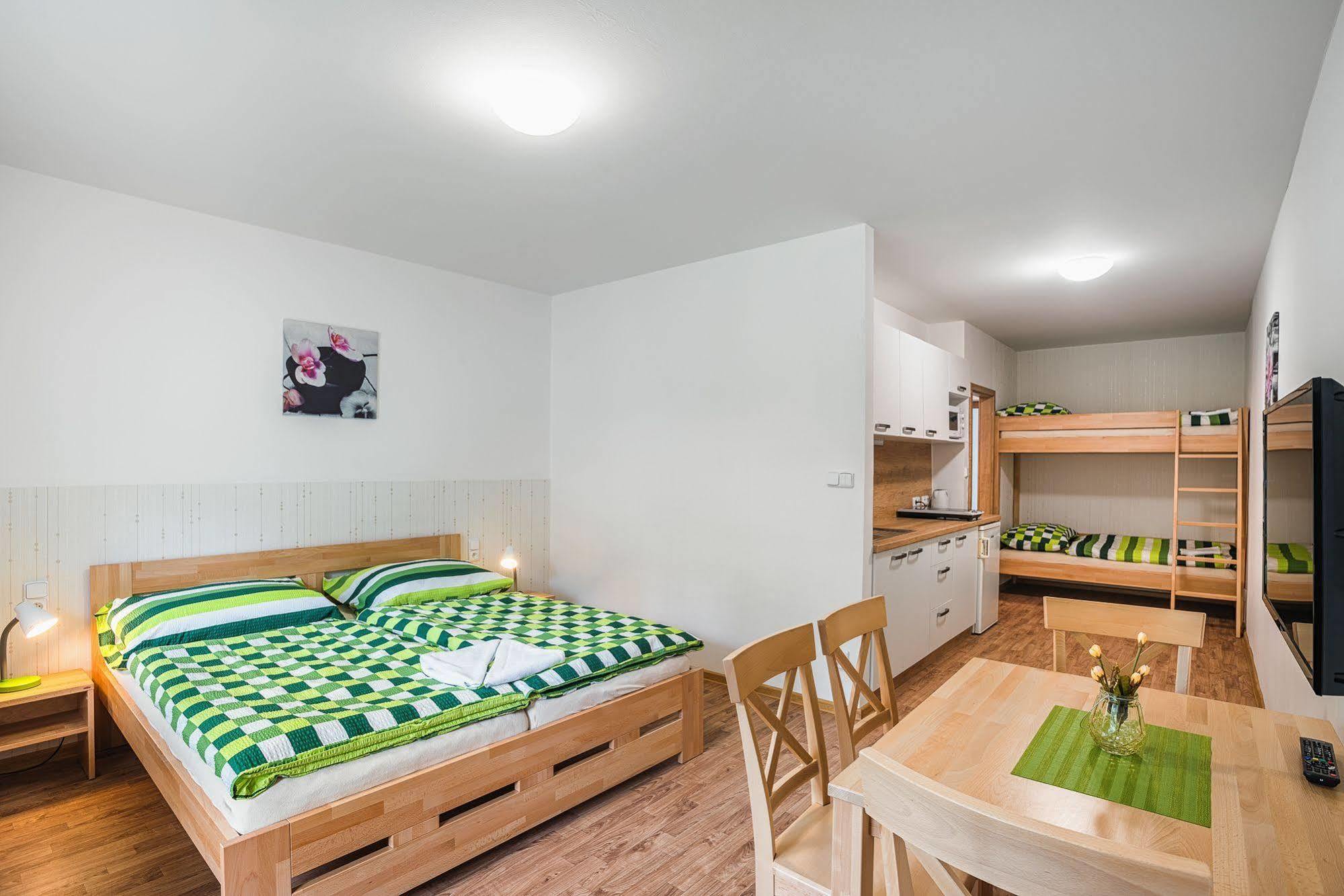Železná Ruda Penzion Havelka Apartmany מראה חיצוני תמונה