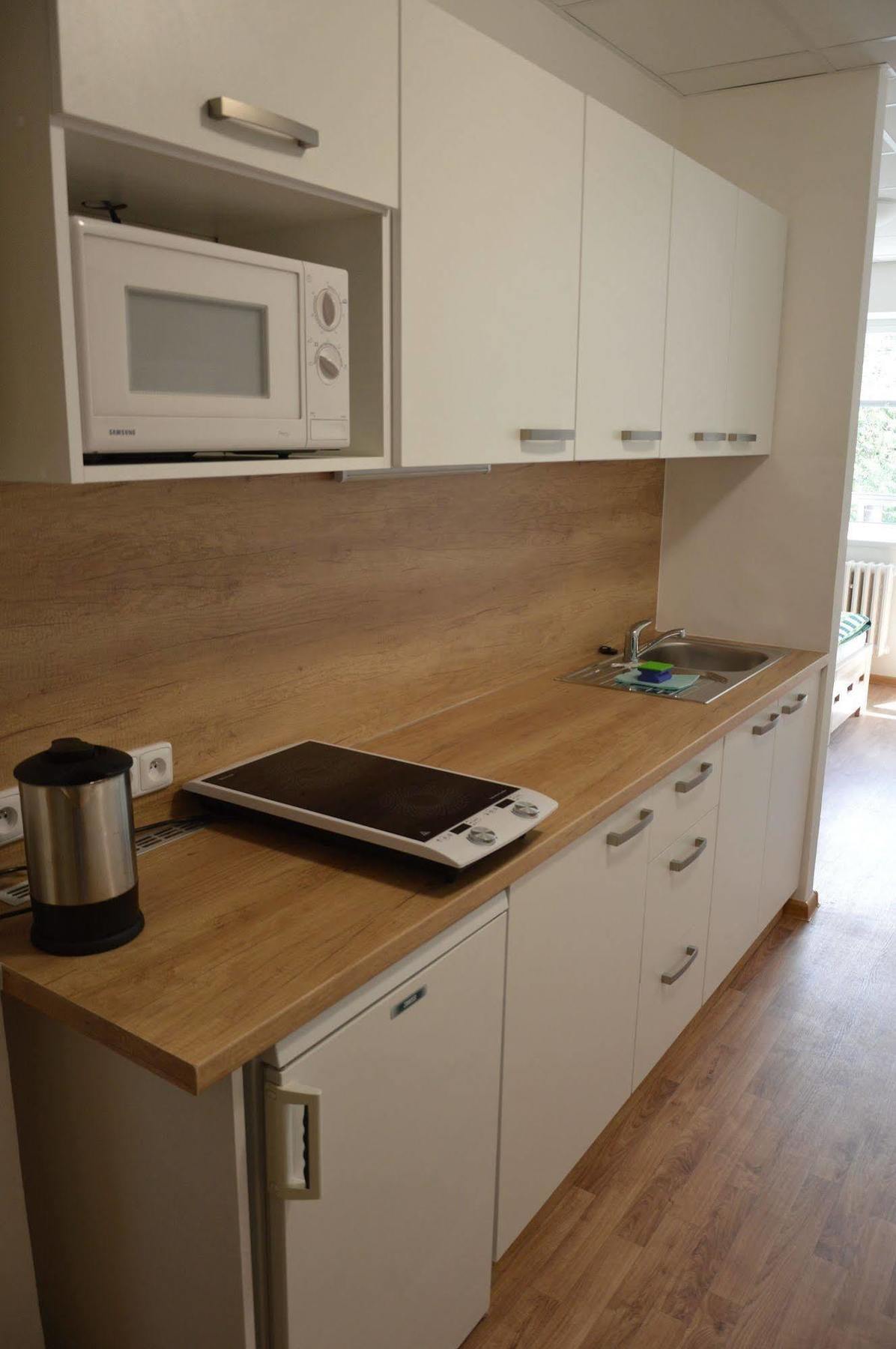 Železná Ruda Penzion Havelka Apartmany מראה חיצוני תמונה